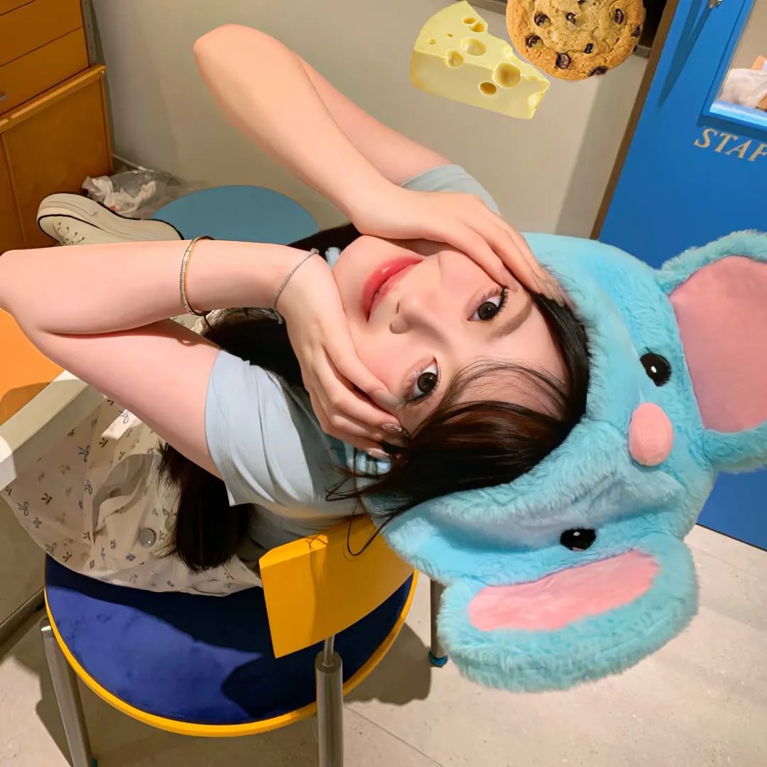北极征熊记